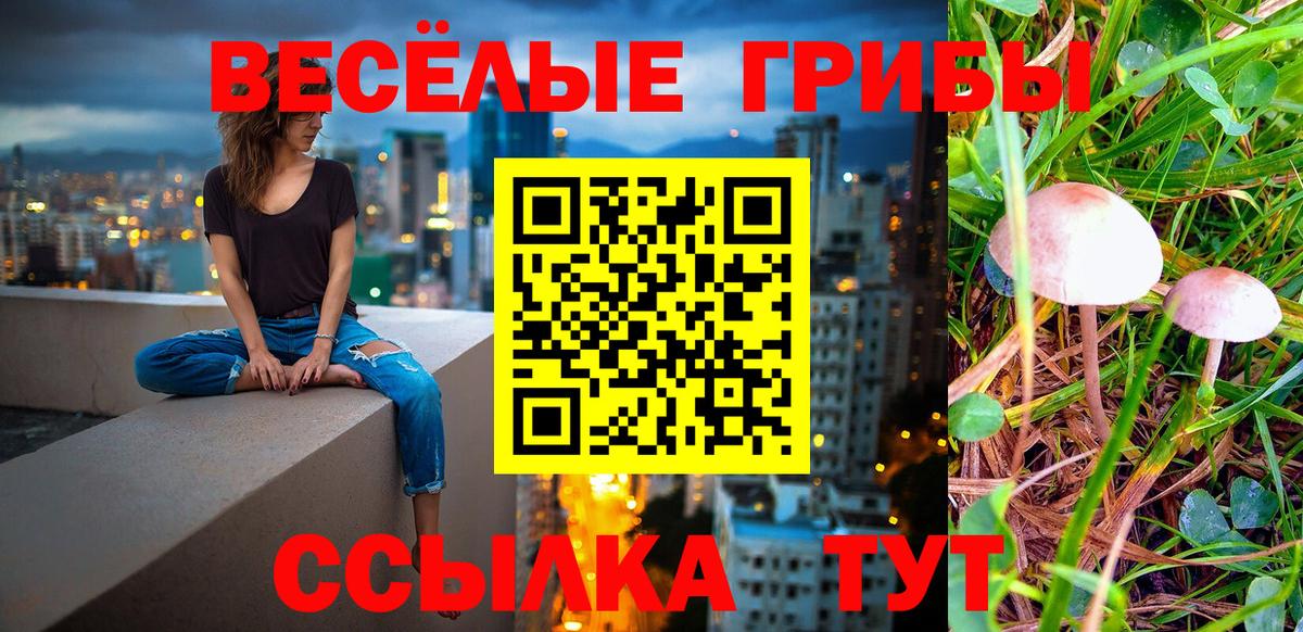 Междуреченск  Галлюциногенные грибы GOLDEN TEACHER  Вход с VPN  Псилоцибиновые грибы Psilocybe 